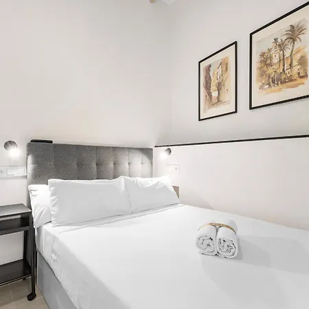 Lovely Loft Toledo Apartment