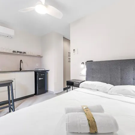 Lovely Loft Toledo Apartment