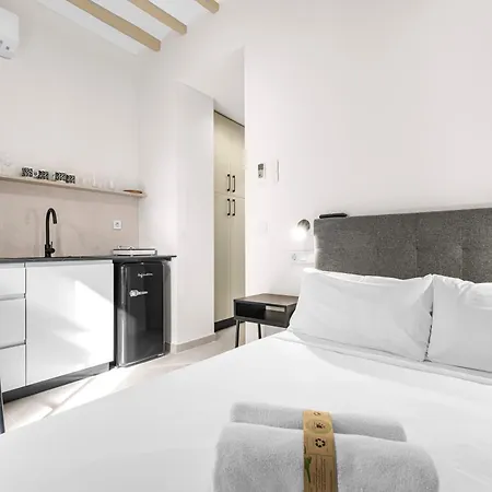 Lovely Loft Toledo Apartment